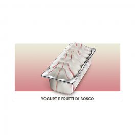 Mantecato Yogurt Frutti Bosco CT   1